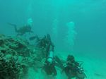 Hawaii Scuba divng 83