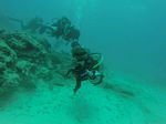 Hawaii Scuba divng 86