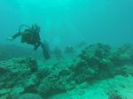 Hawaii Scuba divng 87