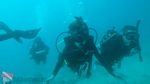 Hawaii Scuba divng 20