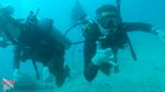 Hawaii Scuba divng 21