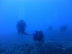 Honolulu Scuba 18