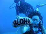 Honolulu Scuba 29