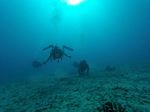 Hawaii Scuba divng 10