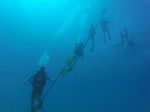 Hawaii Scuba divng 14