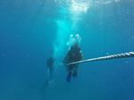 Hawaii Scuba divng 18
