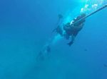 Hawaii Scuba divng 19