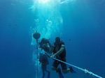 Hawaii Scuba divng 21