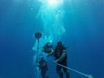 Hawaii Scuba divng 22