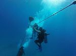 Hawaii Scuba divng 24