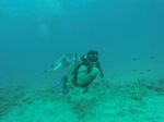 Hawaii Scuba divng 32