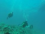 Hawaii Scuba divng 33