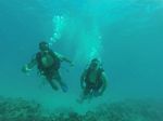 Hawaii Scuba divng 35