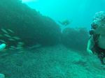 Hawaii Scuba divng 03