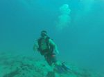 Hawaii Scuba divng 43