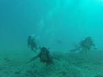 Hawaii Scuba divng 48