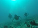 Hawaii Scuba divng 49