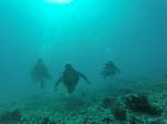 Hawaii Scuba divng 51