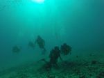 Hawaii Scuba divng 52