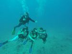 Hawaii Scuba divng 58