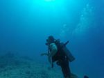 Hawaii Scuba divng 05