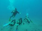 Hawaii Scuba divng 60