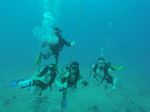 Hawaii Scuba divng 61