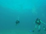 Hawaii Scuba divng 63