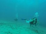 Hawaii Scuba divng 66