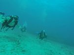 Hawaii Scuba divng 67