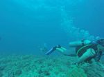 Hawaii Scuba divng 78