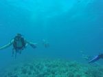 Hawaii Scuba divng 79