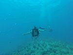 Hawaii Scuba divng 80