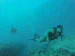 Hawaii Scuba divng 82