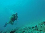 Hawaii Scuba divng 83