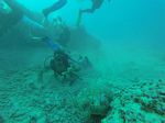 Hawaii Scuba divng 88