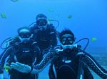 Hawaii Scuba divng 29