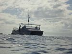 Hawaii Scuba divng 45