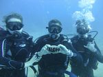 Hawaii Scuba divng 51