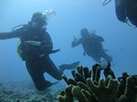 Hawaii Scuba divng 52