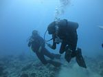 Hawaii Scuba divng 54