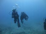 Hawaii Scuba divng 56