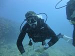 Hawaii Scuba divng 73