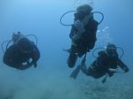 Hawaii Scuba divng 74