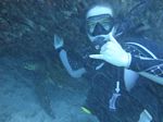 Hawaii Scuba divng 77