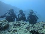 Hawaii Scuba divng 79