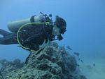 Hawaii Scuba divng 80