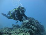 Hawaii Scuba divng 81