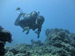 Hawaii Scuba divng 82