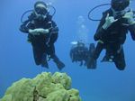 Hawaii Scuba divng 84